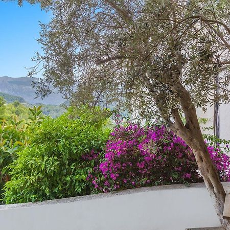 Apartament Bellavista 22 Puerto de Sóller Zewnętrze zdjęcie